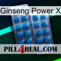 Ginseng Power X viagra2